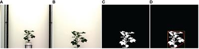 Drought stress prediction and propagation using time series modeling on multimodal plant image sequences